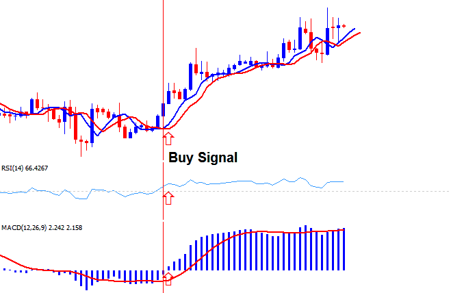 Market Participants - Brokers - Platforms - Accounts - Trading Strategies & Trading Technical Analysis