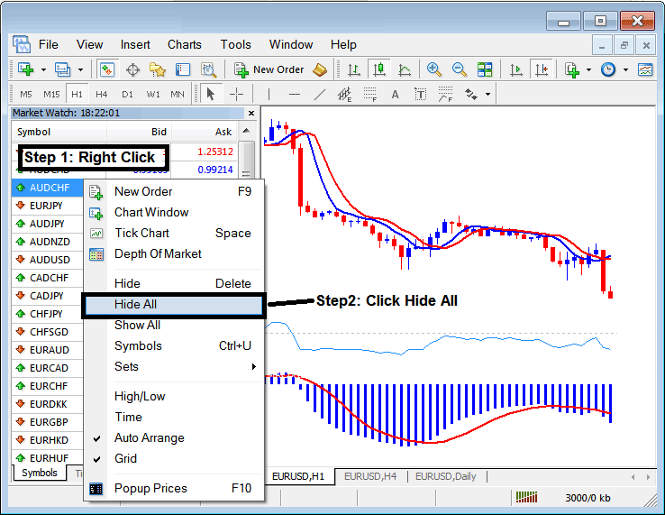 Forex Currency Pairs Naming Format - Examples of Currency Pair Quotes on MT4 Software Platform