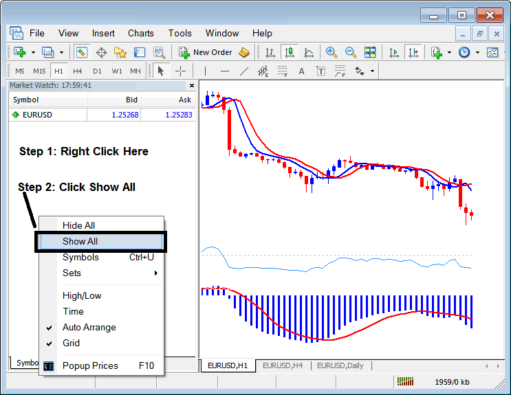 Forex Currency Pairs Naming Format - Examples of Currency Pair Symbols in MetaTrader 4