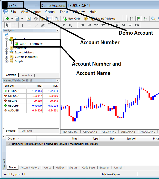 Gold MetaTrader Account - Login to a MetaTrader 4 XAUUSD Trading Account - Gold MetaTrader 4 Account Login - Online XAUUSD Trading Platform Accounts Login - MTXAUUSD Trading Account Login