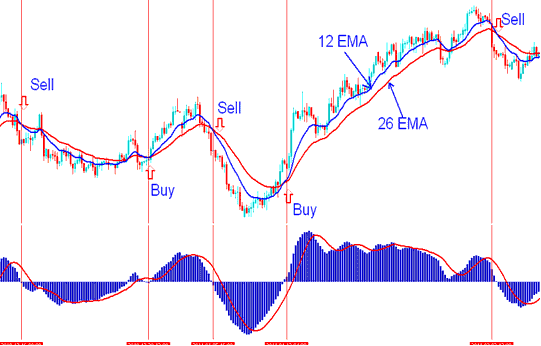 Example of MACD XAUUSD Indicator