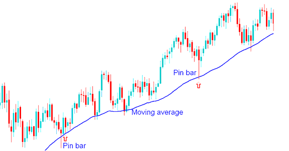 Pin Bar XAUUSD Price Action Combined with Moving Averages - Pin Bar XAU USD Price Action Trading Method and Pin Bar Reversal Signals