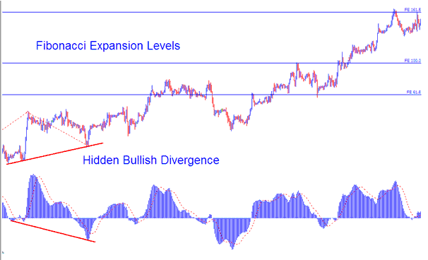 How to Trade Gold Trading Hidden Bullish Divergence and Gold Trading Hidden Bearish Divergence Combined with Fibonacci Expansion Indicator