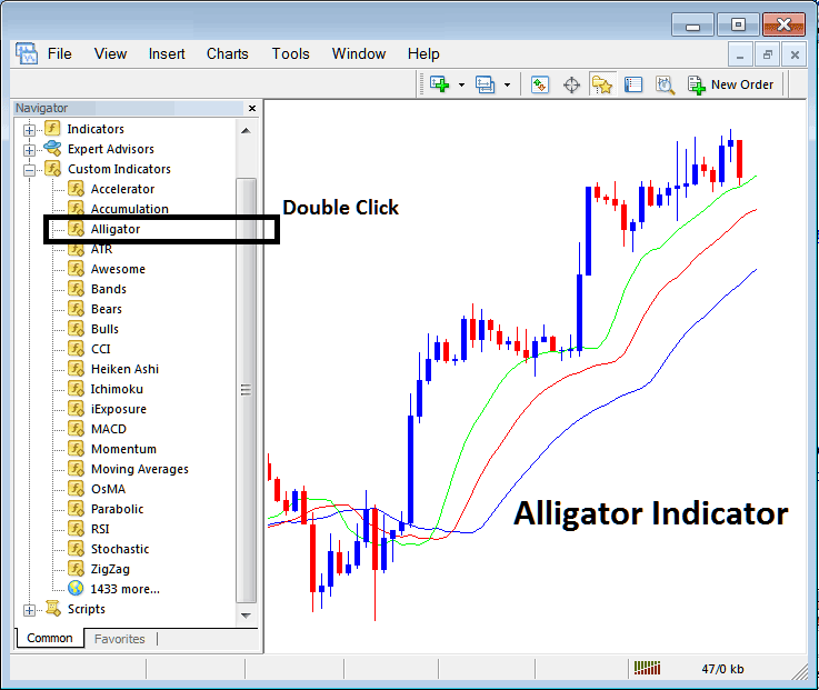 Place Alligator Gold Indicator in Chart in MT4 MetaTrader 4 Alligator