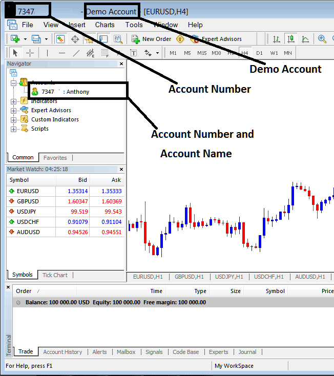 Trading Account Name and XAGUSD Account Number on MT4 Account