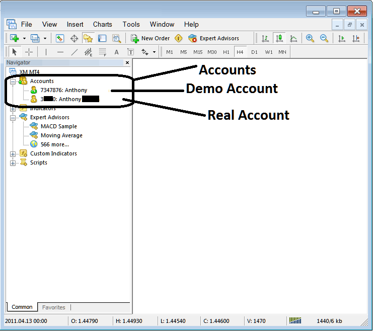 Demo Account and Real Account in the MT4 - MT4 Navigator Window