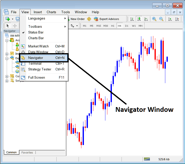 MT4 Navigator Window on MT4 Software Platform - Index MetaTrader 4 Navigator Window
