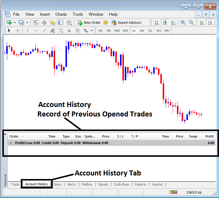 Account History Tab for Recording Closed Trade Orders in MT4 Platform Software - MT4 Index Transactions Tab Panel