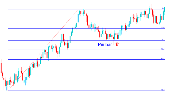 Pin Bar Price Action Combined with Fibonacci Retracement