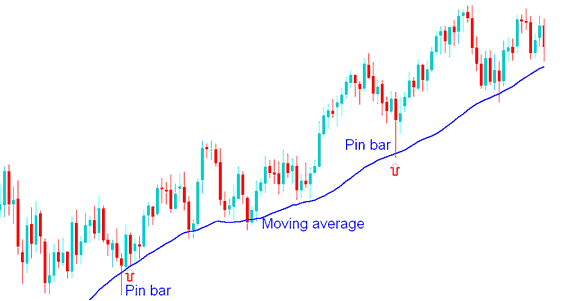 Pin Bar Stock Price Action Combined with Moving Averages
